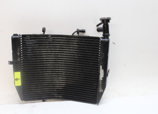 Radiateur Triumph Daytona 675 
