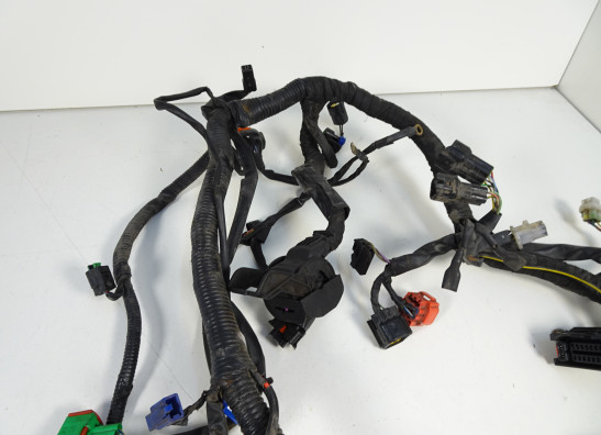 Kabelboom KTM 125 Duke