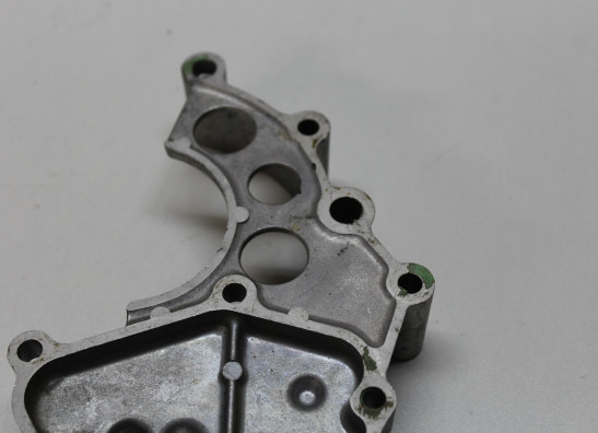 Motorblokdeksel voortandwiel Honda RVF 750 R - RC45