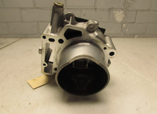 Cylinders Aprilia Tuono 1000