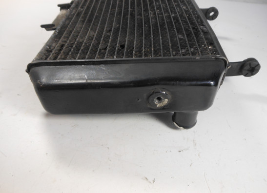 Radiateur Suzuki DL 650 V STROM