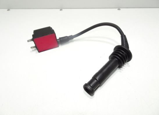 Zundspule Triumph Tiger 900