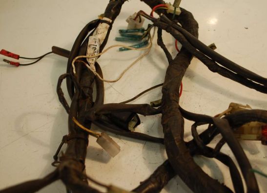 Kabelbaum Kawasaki GTR 1000