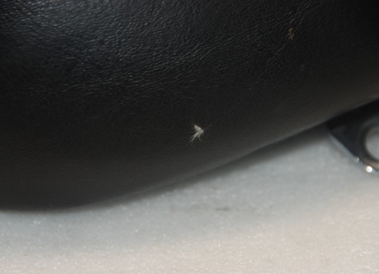 Zadel Harley Davidson Softtail