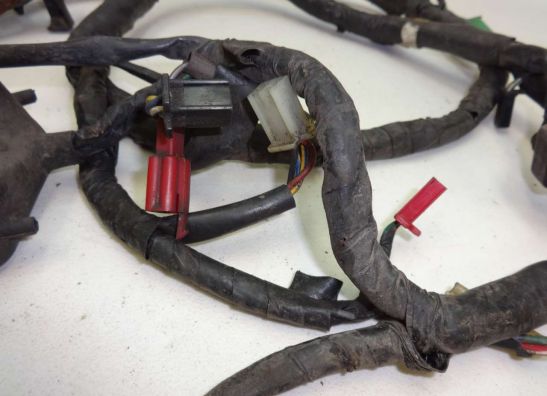 Wire Harness Honda CBR 1000 F