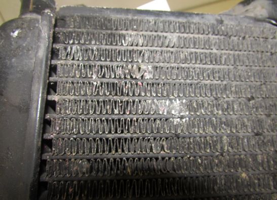 Radiateur Suzuki GSF 600 650 Bandit 