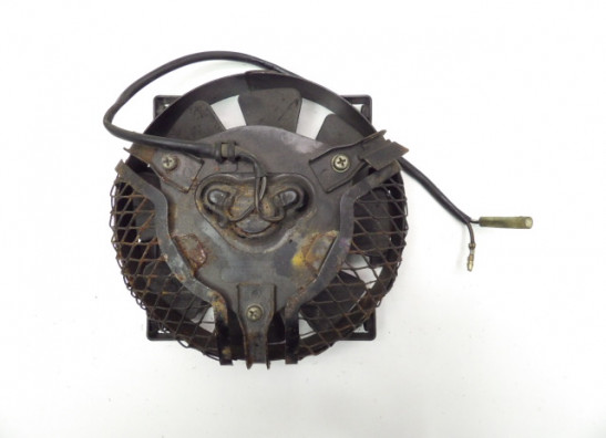 Lufter Suzuki VX 800