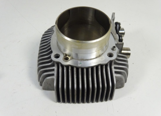 Cilinderblok Ducati monster 796