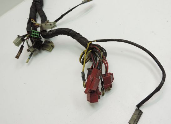 Wire Harness Kawasaki GPZ 900