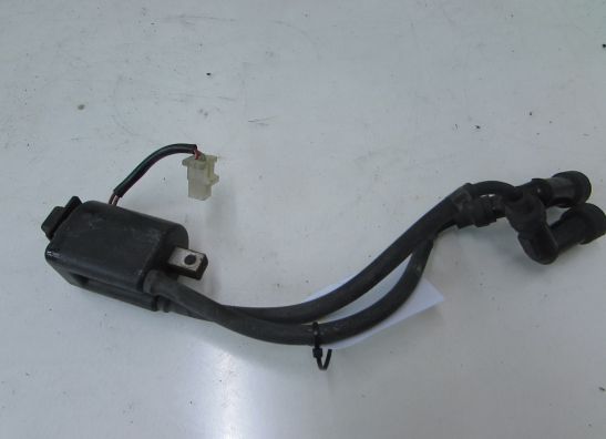 Bobine Yamaha FJ 1200