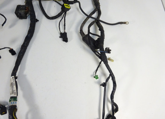 Wire Harness Kawasaki ER 6
