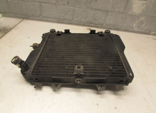 Kuhler Kawasaki ZX 10 R