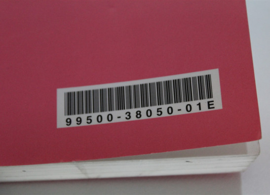 Bedienungsanleitung Suzuki VZ 800 marauder