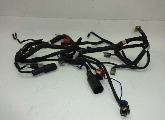 Wire Harness Honda CBX 750 F