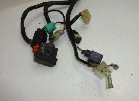 Kabelboom Honda CBF 600