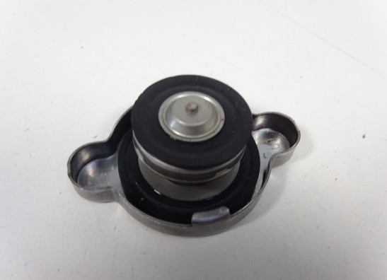 Radiator toebehoren Aprilia Tuono 660