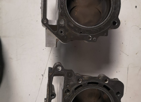 Cylinders Aprilia Tuono 1000