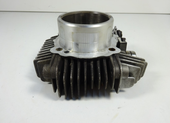 Cylinders Ducati monster 600