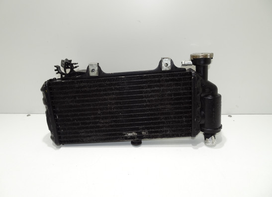 Radiateur BMW F 650 CS Scarver