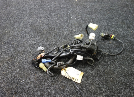 Wire Harness KTM 1190 Adventure