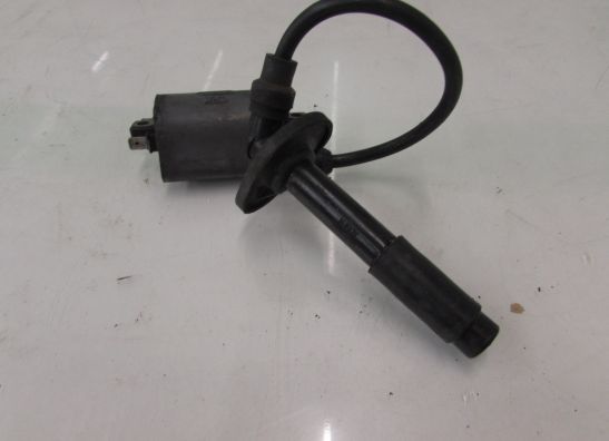 Bobine Kawasaki ZZR 250