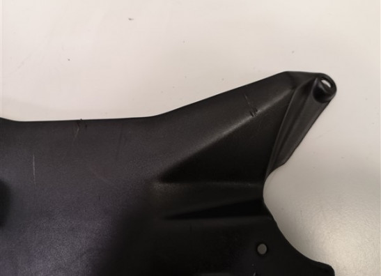 Afdekkap Aprilia RSV 1000