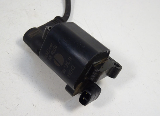 Bobine Ducati monster 796