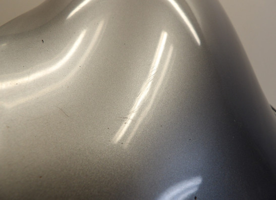 Voorspatbord Kawasaki ZX 9 R