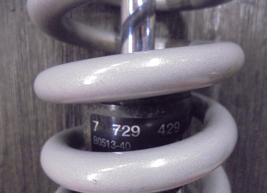 Stossdämpfer vorne BMW R 1200 GS