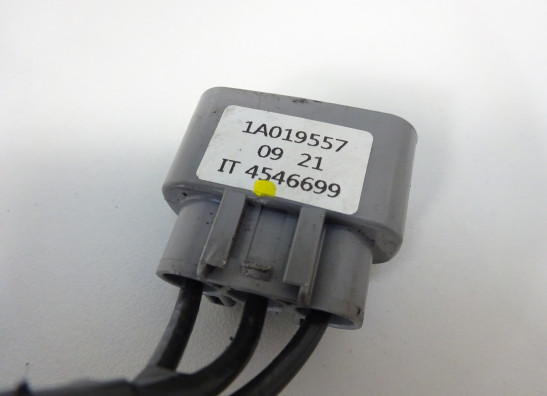 Dynamo Aprilia Tuono 660