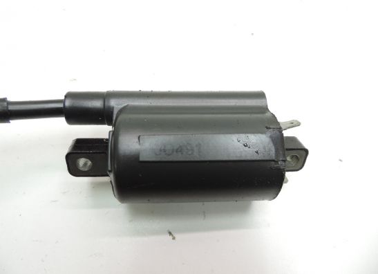 Ignition Coil Suzuki M 1800 Intruder