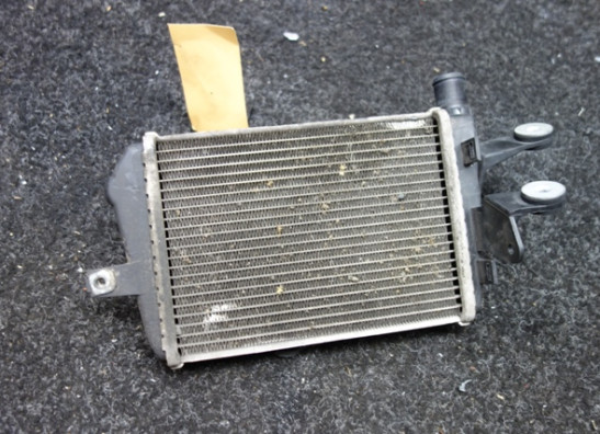 Kuhler BMW R 1200 GS LC