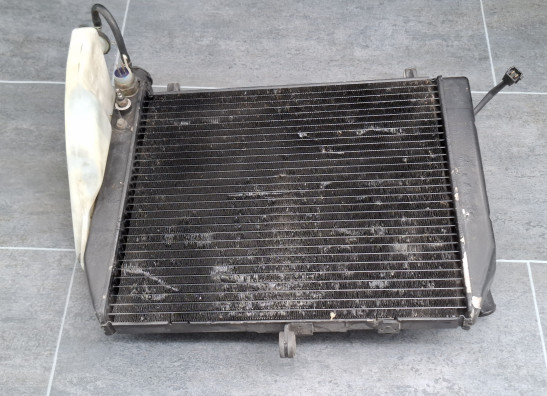 Radiator Yamaha YZF R1