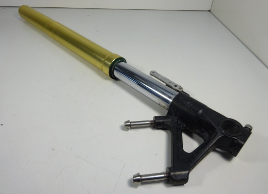 Front Fork right complete Triumph Tiger 1050
