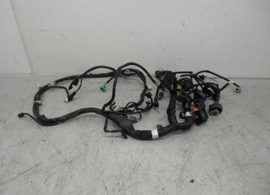 Kabelbaum Suzuki Burgman 400