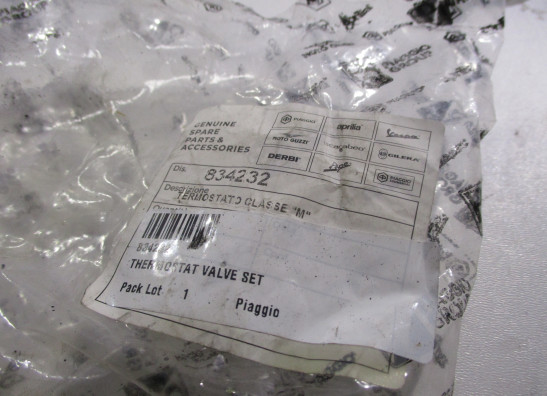 Thermostaat Piaggio Beverly 500
