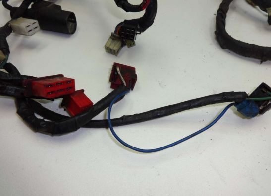 Kabelboom Honda CBX 750 F