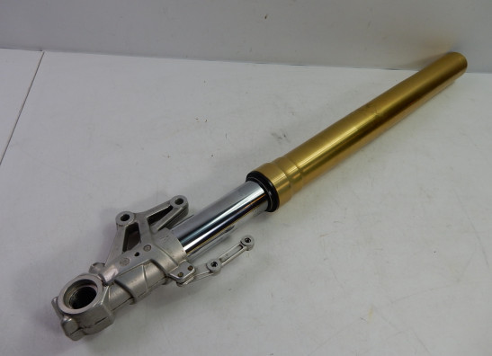 Voorpoot links compleet Benelli Overig Benelli