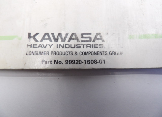 Manuel Kawasaki GPX 600