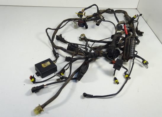 Wire Harness Ducati monster 600