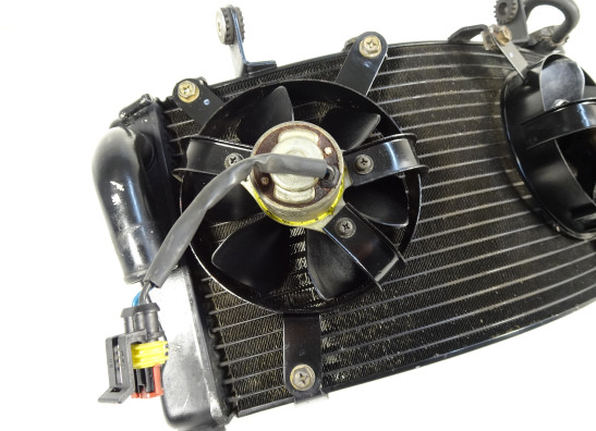 Radiator Ducati 749  999
