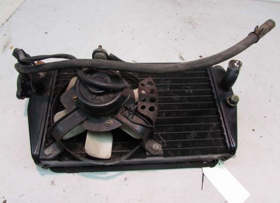 Radiateur Kawasaki KLR 650