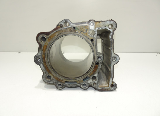 Cilinderblok BMW F 650 GS