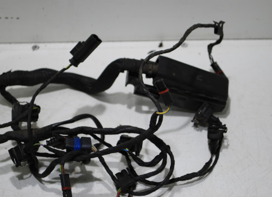 Wire Harness BMW F 800 S - ST
