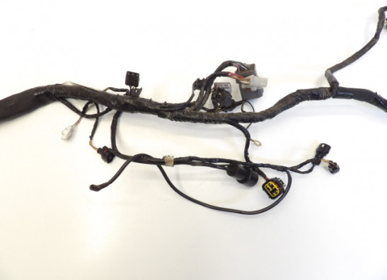 Kabelbaum Kawasaki Z 750