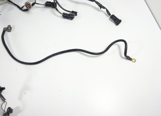 Wire Harness Kawasaki ER 6