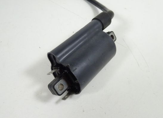 Bobine Ducati Monster 800