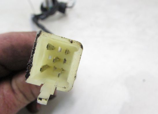 Kabelbaum vorne Honda CBF 600