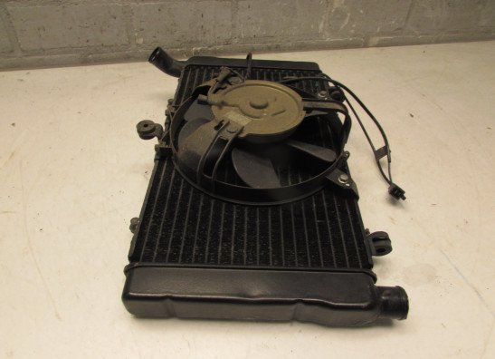 Radiator Honda CBR 1000 F