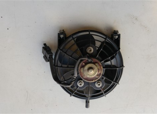 Fan Aprilia RSV 1000